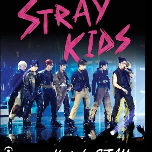 creator i ❤️ stray kids ❤️'s avatar