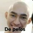 creator de pelos's avatar