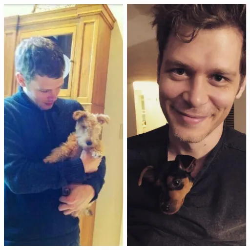 creator JosephMorgan_Wifey's avatar