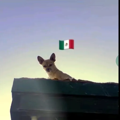 creator Mexicanboy's avatar