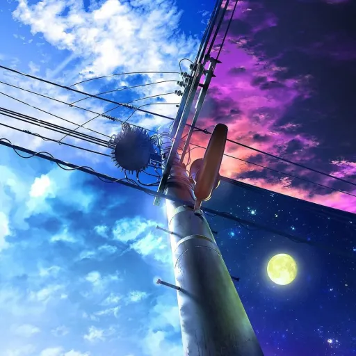 creator ●~Sunight~○'s avatar