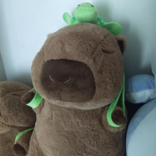creator 🍮🍪CAPYBARA🍪🍮's avatar