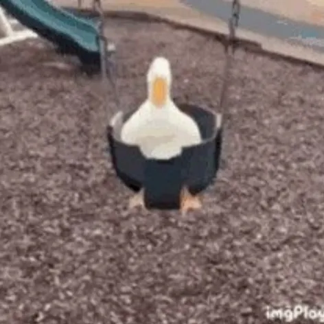creator That_Rando_duck_<3's avatar