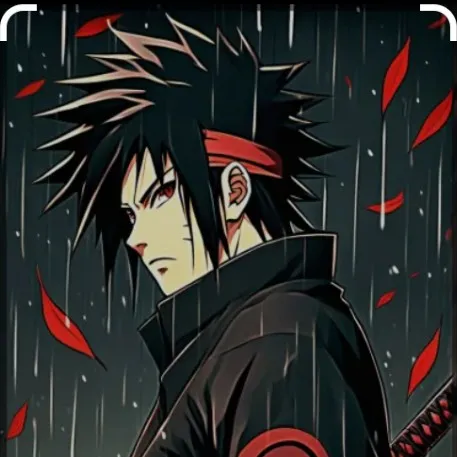 creator yin and yang creat's avatar