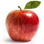 creator Apple and Orange's avatar
