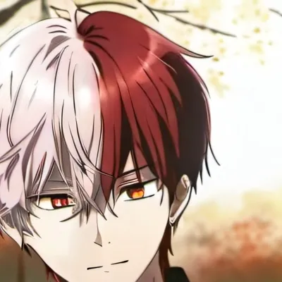 chat with ai character: Todoroki
