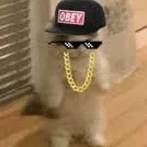 creator ProGamerCatYT☑️'s avatar
