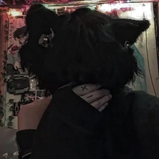 creator 🏐🧷haven;3🍃💤's avatar