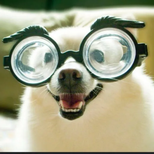 creator WerewolrPerson's avatar