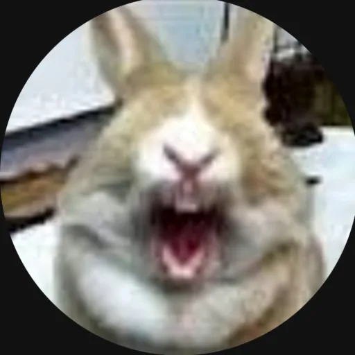 comment user avatar