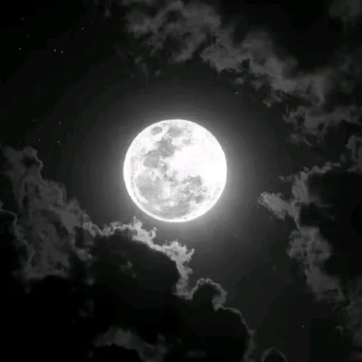 creator Marian. xo's avatar