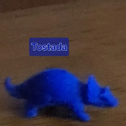 creator TostadaaaAaaAaaAaA's avatar