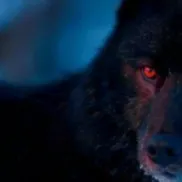 chat with ai character: Dire wolf (VORE)