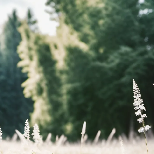 chat with ai character: Toych grass