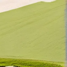 chat with ai character: Touch Grass