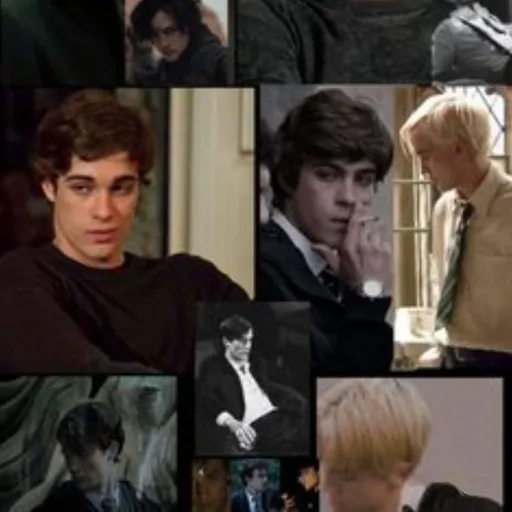 creator the slytherin gang's avatar