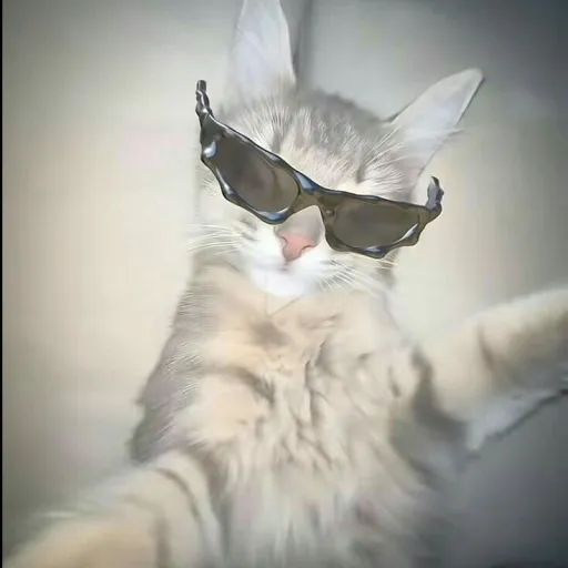 creator M.I.L.E's avatar