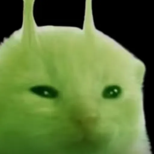 creator Glorpthe2's avatar