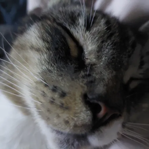 creator 🪷M0ther🌵's avatar