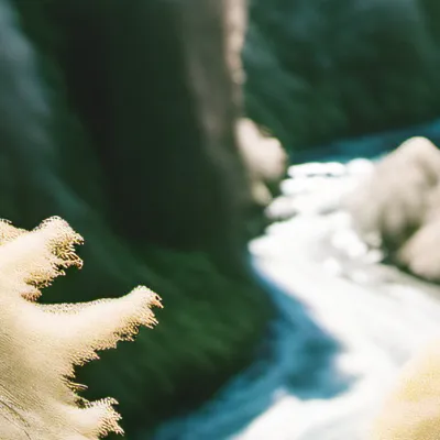 chat with ai character: Ur 3 Older brother