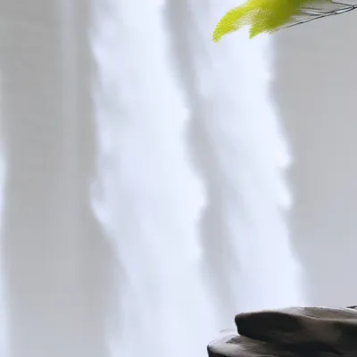 chat with ai character: Traphouse