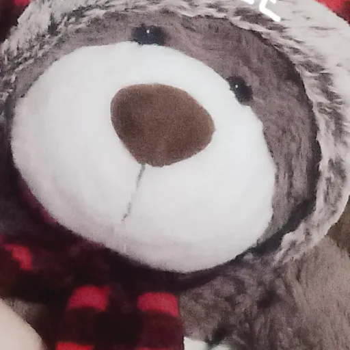 creator teddy brr🧸's avatar