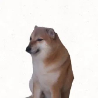 creator The Doge Maker's avatar