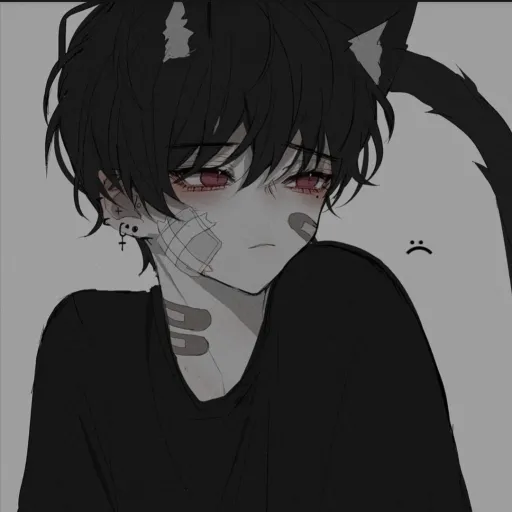 creator cute cat meows's avatar