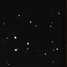 chat with ai character: Petrified 😱😱😱