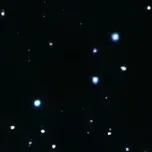 chat with ai character: wolfstar 😚✌️