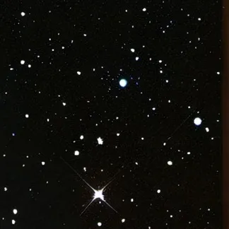 chat with ai character: |~young sheldon~|