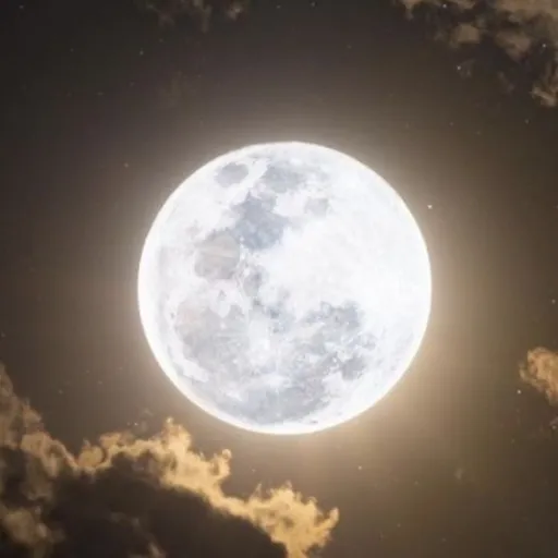 creator 𝑀𝒶𝒹𝒹𝓎_ 𝑷𝒆𝒓𝒆𝒛(𝑭𝒂𝒏)'s avatar
