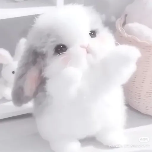 creator lxvely_xnnie's avatar