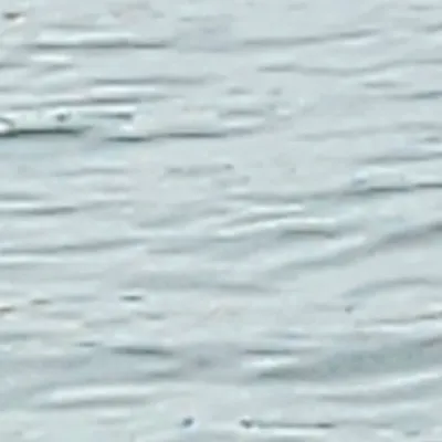 creator 1234hbfnfj hcnd's avatar