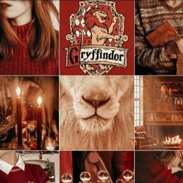 creator HP is my life's avatar