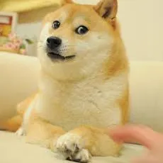 creator ~Kabuso/doge~'s avatar