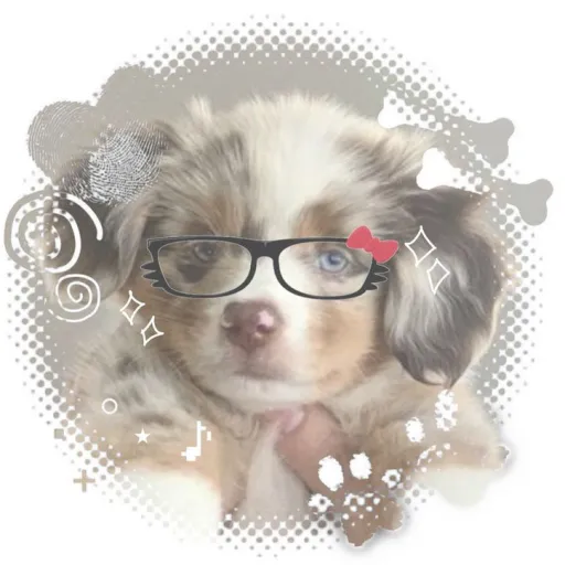 creator ✰°•𝒦𝒾𝓀𝑜 𝒦𝒶𝓉𝑜•°✰'s avatar