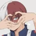 chat with ai character: Todoroki hand <3