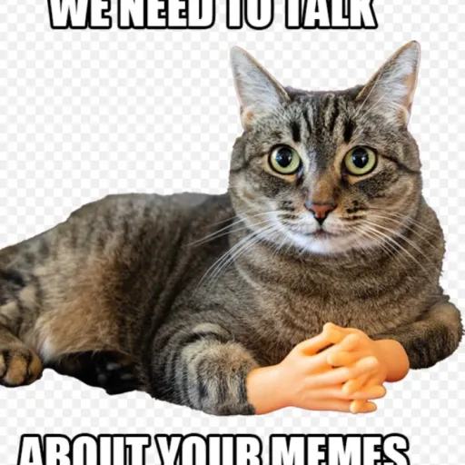 creator MEME POLICE lol's avatar