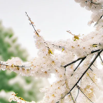 chat with ai character: Therapist 🤗