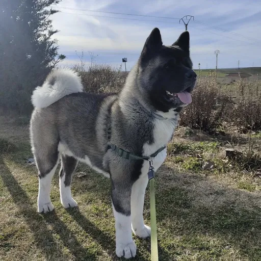 creator -/cool kid ᯣ_ᯣ/-'s avatar