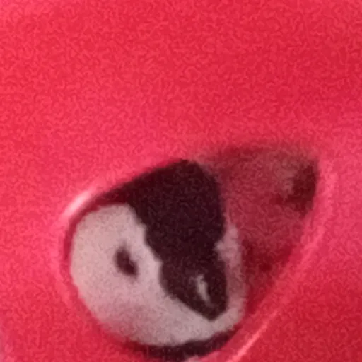 creator Cookie_ XD's avatar