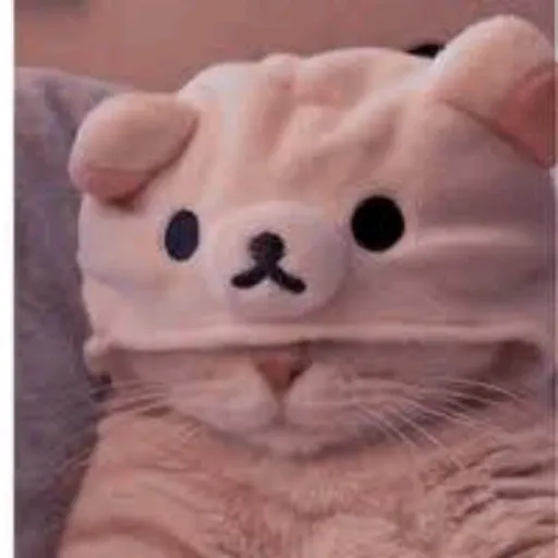 creator •♡KITTY♡•'s avatar