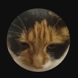 creator Idk :3333's avatar
