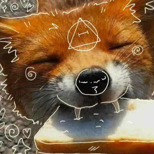creator 🤪🙃😝🐾~𝖗𝖔𝖛𝖊𝖗~🐾😝🤪🙃's avatar