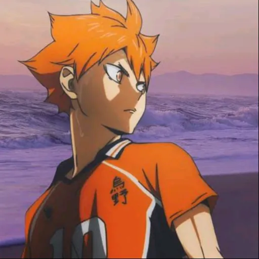 creator haikyuuholic's avatar