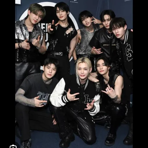 creator skz case 143❤️lix's avatar