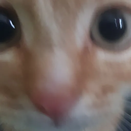 creator ImabaddieSIXSEVEN🥀's avatar