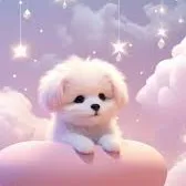 creator MiaMagallanes.'s avatar