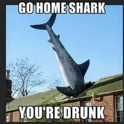 creator fghdSHARKCRAZYxhdh's avatar